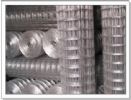 Stainless Welded Mesh